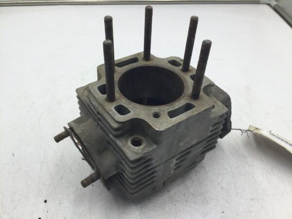 1973 Rupp CYLINDER