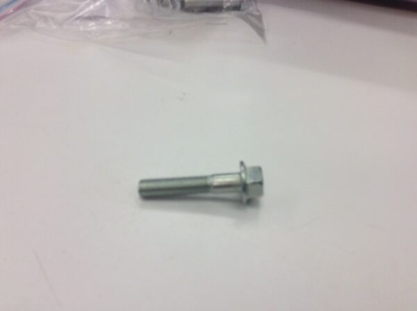 Flange Bolt