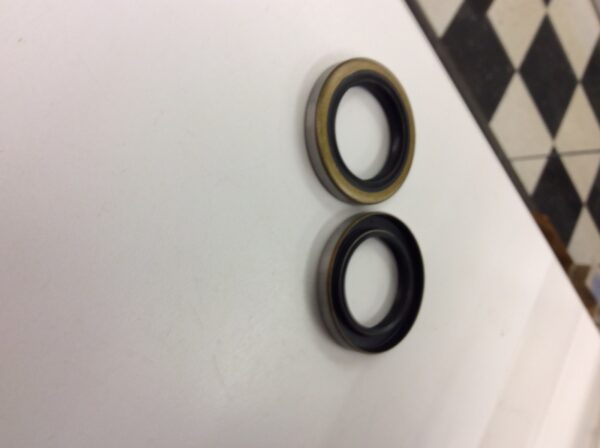 Oil Seal