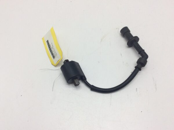 2005 Suzuki External Coil
