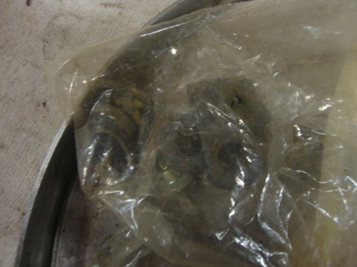 2001 Honda RH Back Plate - Image 3