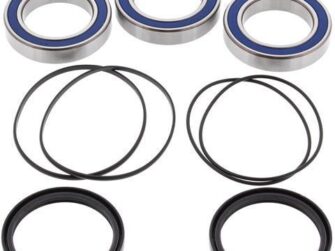 2004 Honda Wheel Bearing Kit - Rear