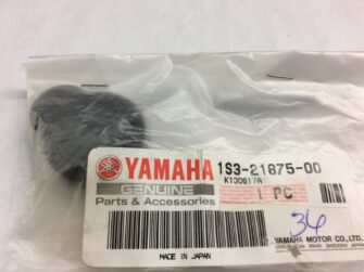 2006 Yamaha Cap, Recovery Tank