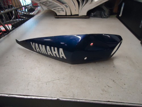 2007 Yamaha Protector 4