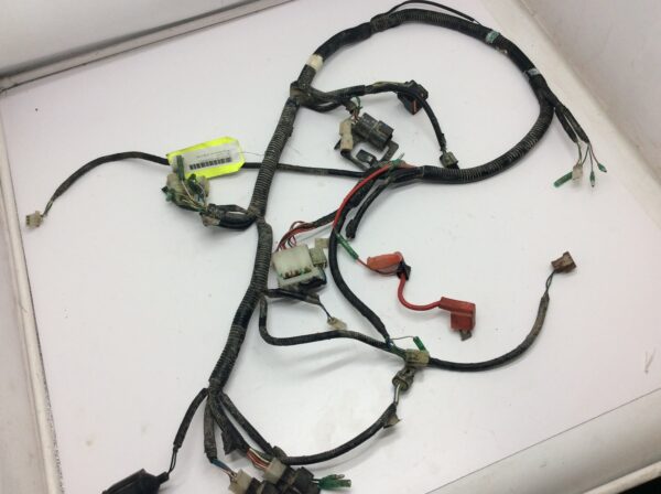 2007 Can-Am DS 250 Main Wiring Harness - Image 2