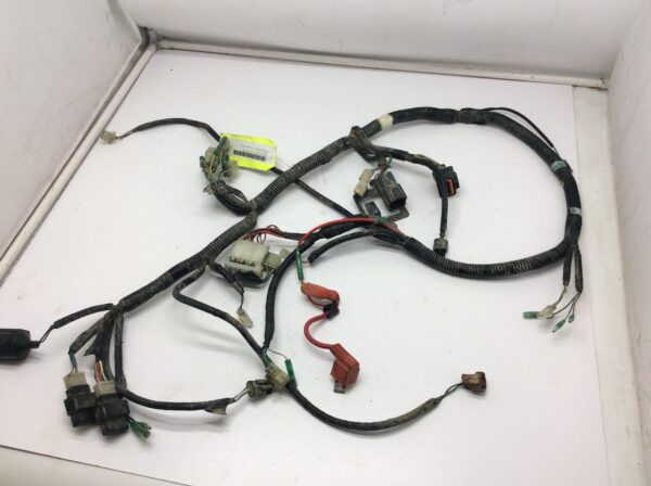 2007 Can-Am DS 250 Main Wiring Harness - Image 3