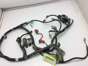 2007 Can-Am DS 250 Main Wiring Harness