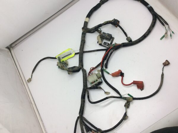 2007 Can-Am DS 250 Main Wiring Harness - Image 4