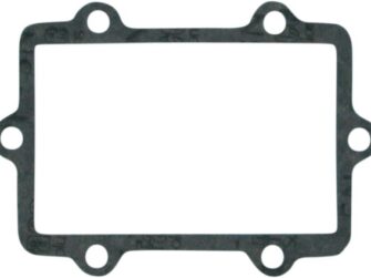 Gasket - Reed Valve - (See Comments)