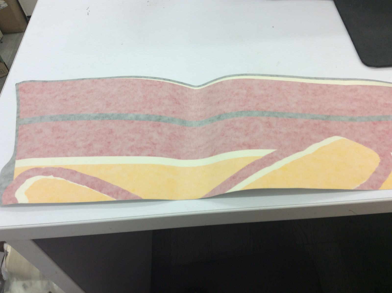 2004 Ski-Doo DECAL LOWER SIDE RH - Image 3