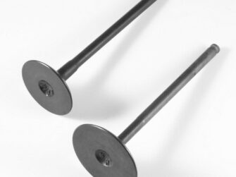 sportsman 570, valves. 2 pack