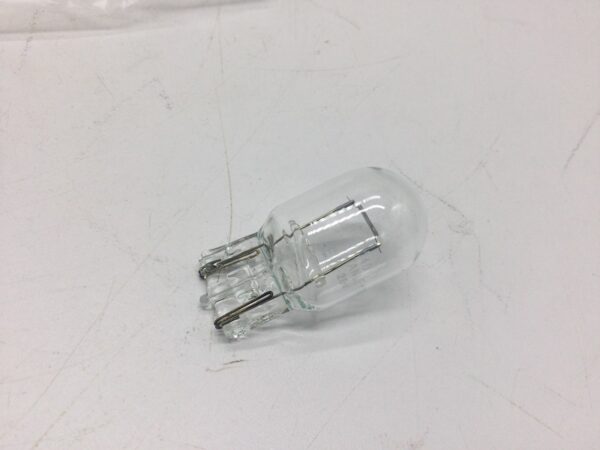 2002 Yamaha Bulb - Image 4