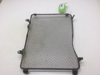 2011 Kawasaki Radiator Screen - Brute Force 650