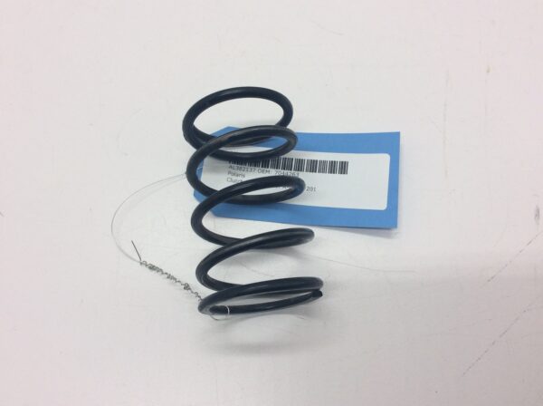 2019 General 100 - Primary SPRING Clutch Spring - Image 3