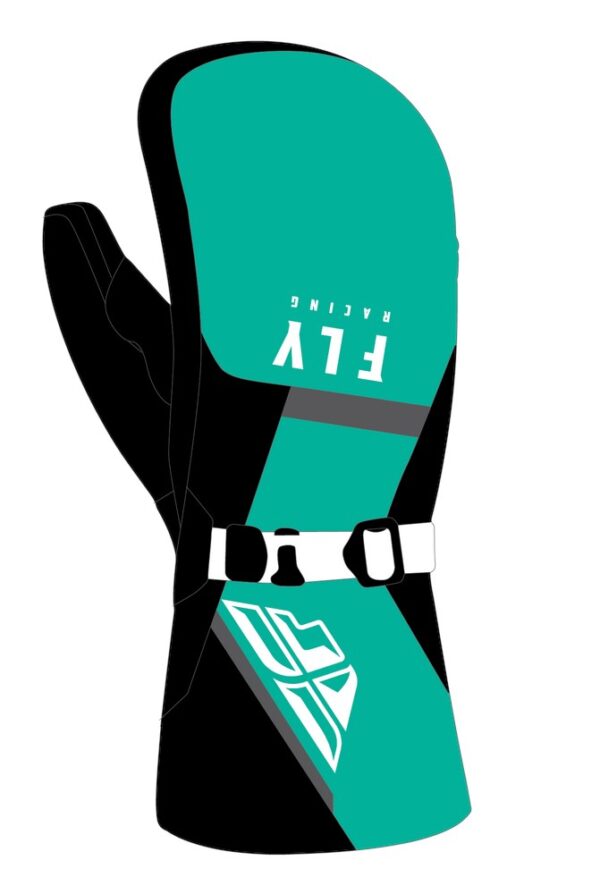 Cascade Mittens Black/mint