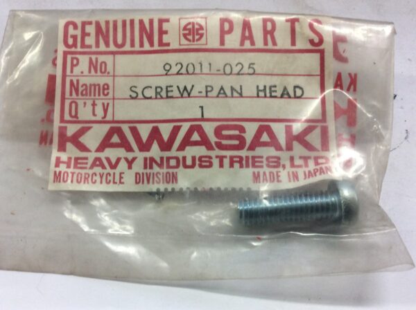 1972 Kawasaki F9, screw (5)