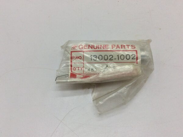 Piston Pin