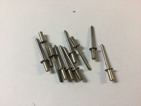 2000 Polaris Pro 785 Rivet 10 Pack