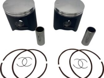2019 Polaris New Piston Kit