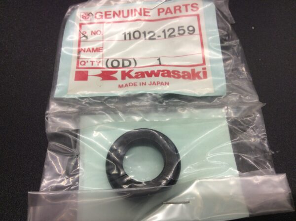 2014 Kawasaki Cap, Swing Arm