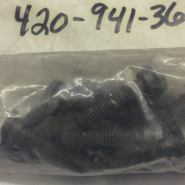 1987 Ski-Doo Bearing Screw M6 - Image 2