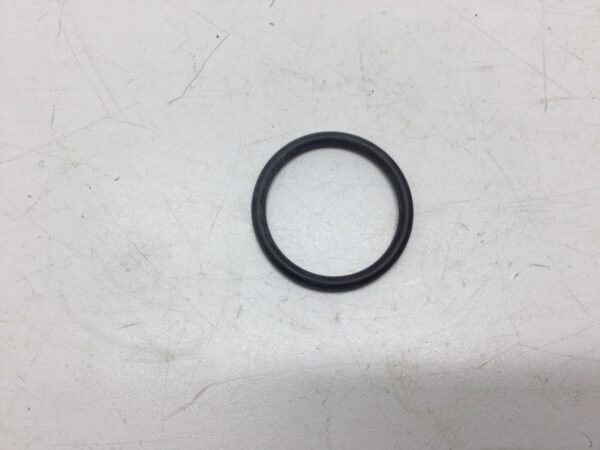 2004 Arctic Cat Crankcase Screen O-Ring - Image 2