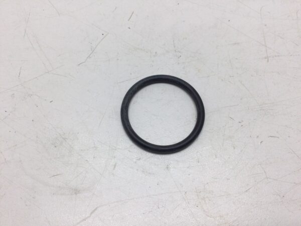 2004 Arctic Cat Crankcase Screen O-Ring