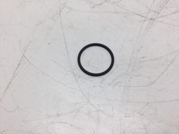 Fork O Ring - Image 2