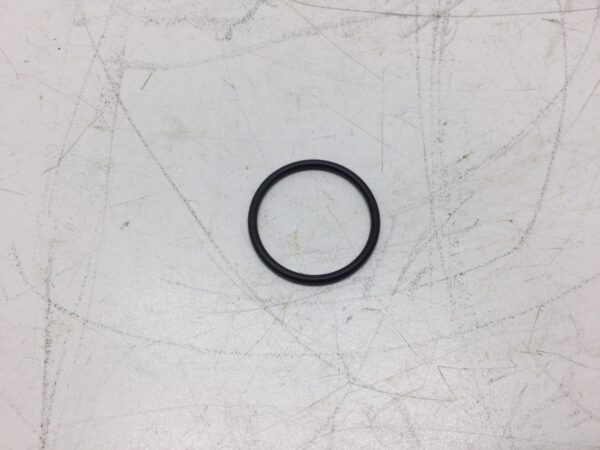 Fork O Ring