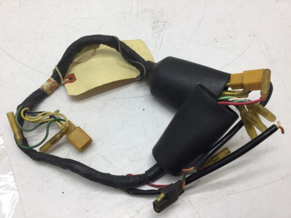 Main Harness TC 125 - Image 4