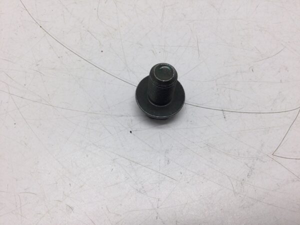 1996 Suzuki Oil Drain Plug - fits VS800GL