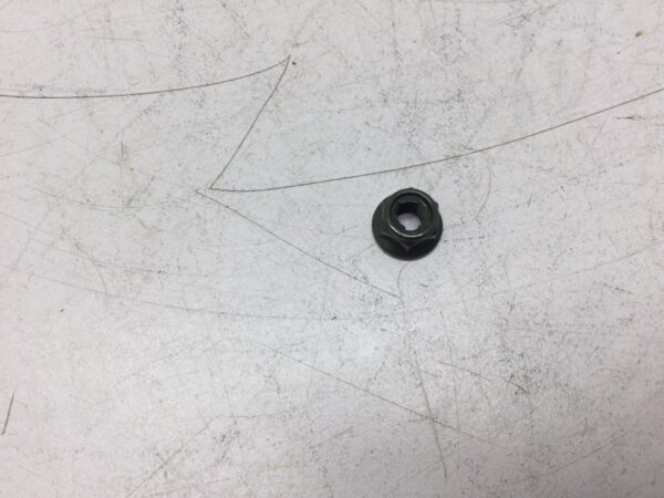 2000 Suzuki Rear Box Nut