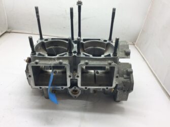 2010 Polaris engine cases