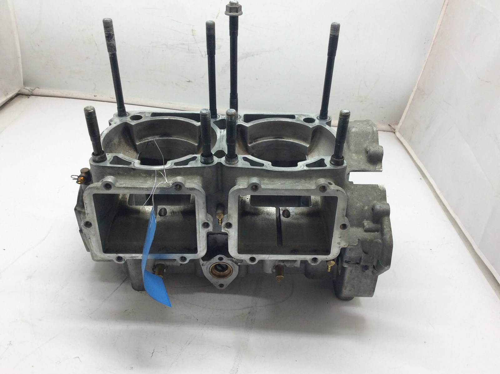 2010 Polaris engine cases