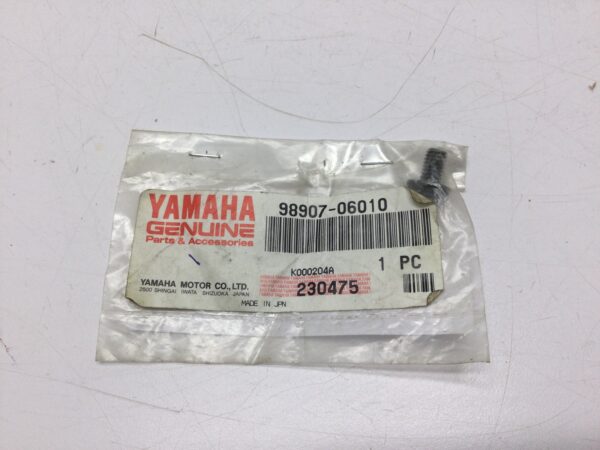2000 Yamaha Binding Screw