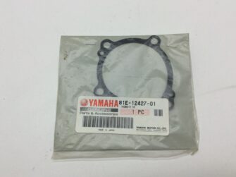 Water Pump Cover Gasket