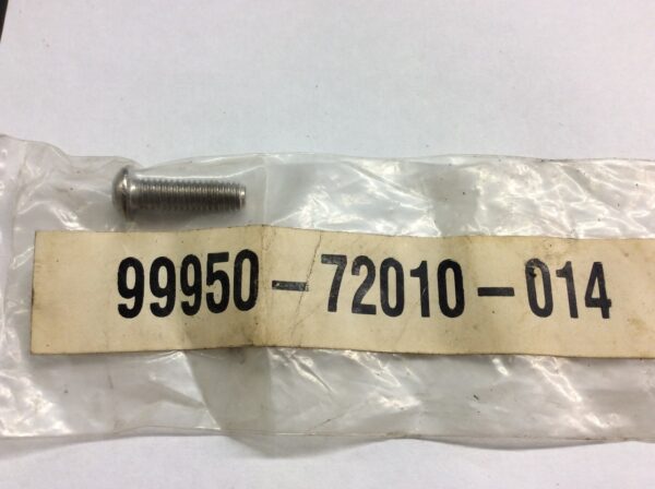 Cap Screw M6-1.0x20,ss