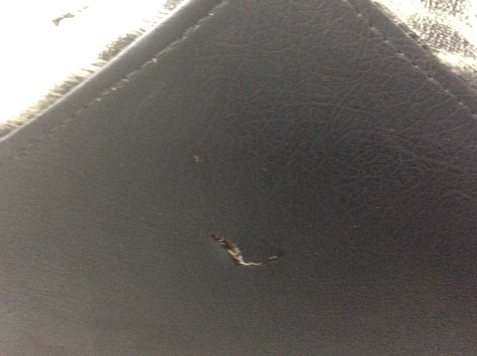 2007 Arctic Cat 2UP SEAT - Image 4