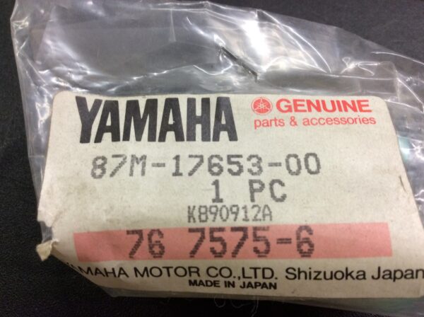 1990 Yamaha Slider, Cam