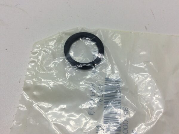 2009 Can-Am Seal - Image 5