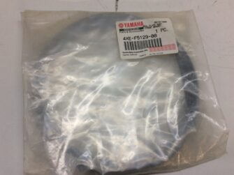 2000 Yamaha Seal Plate, Dust