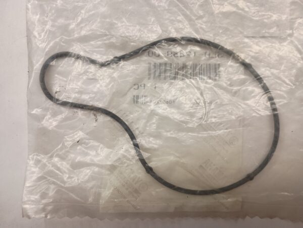 NOS Water Pump Cover O-Ring