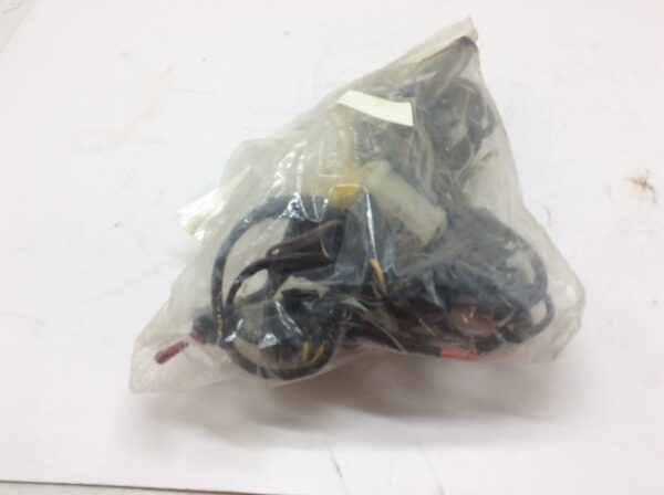 1980 Ski-Doo Wiring Harness