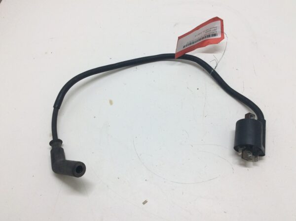 2007 Yamaha Ignition Coil - fits roadliner