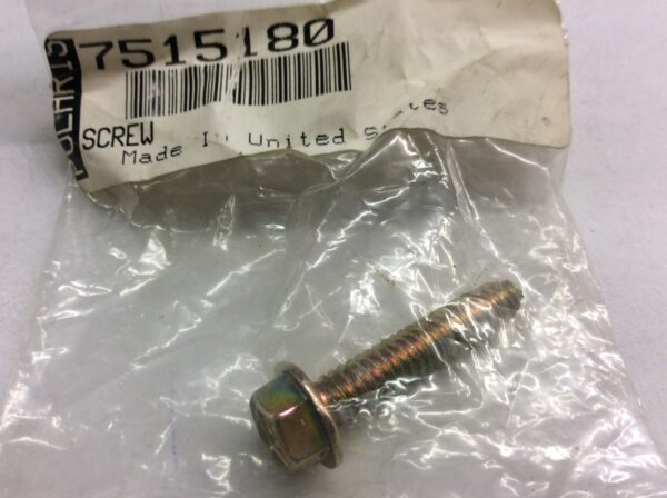 2004 Polaris Screw - Image 2