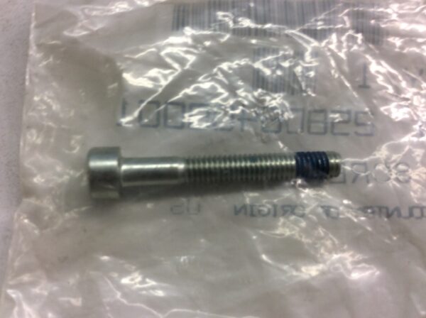 1999 Victory Screw - Image 2