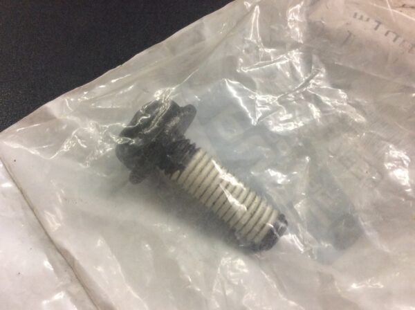 2022 Polaris Screw - Image 3