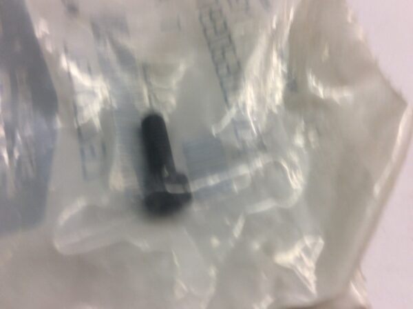 2000 Victory Screw, M4X12 Socket Head - Image 3