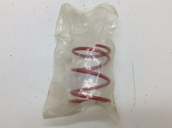 Secondary Spring - Red pink - Image 5