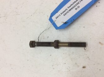 2013 Polaris SCREW